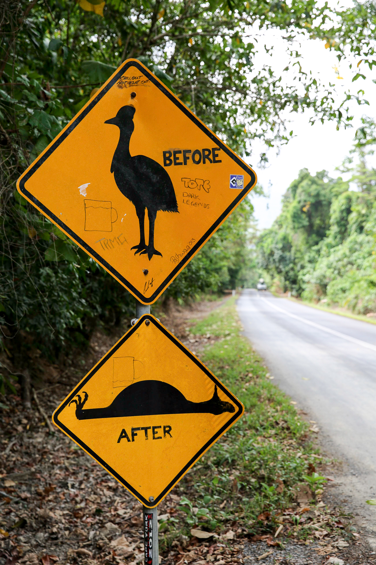 Bild: Schild Cape Tribulation Daintree National Park Sign Kasuare Cassowary