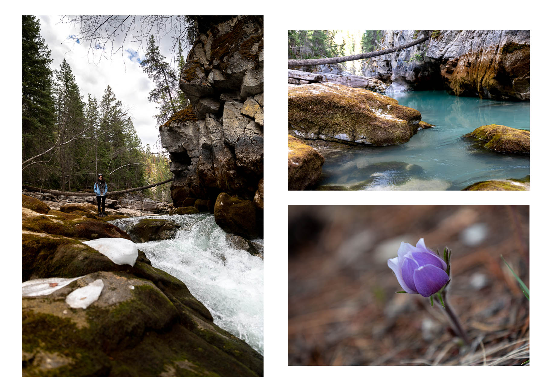 Bild: Maligne Canyon Wandern Jasper Nationalpark Kanada Rocky Mountains